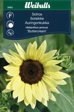 Frø^Weibulls Solsikke 'Buttercream'