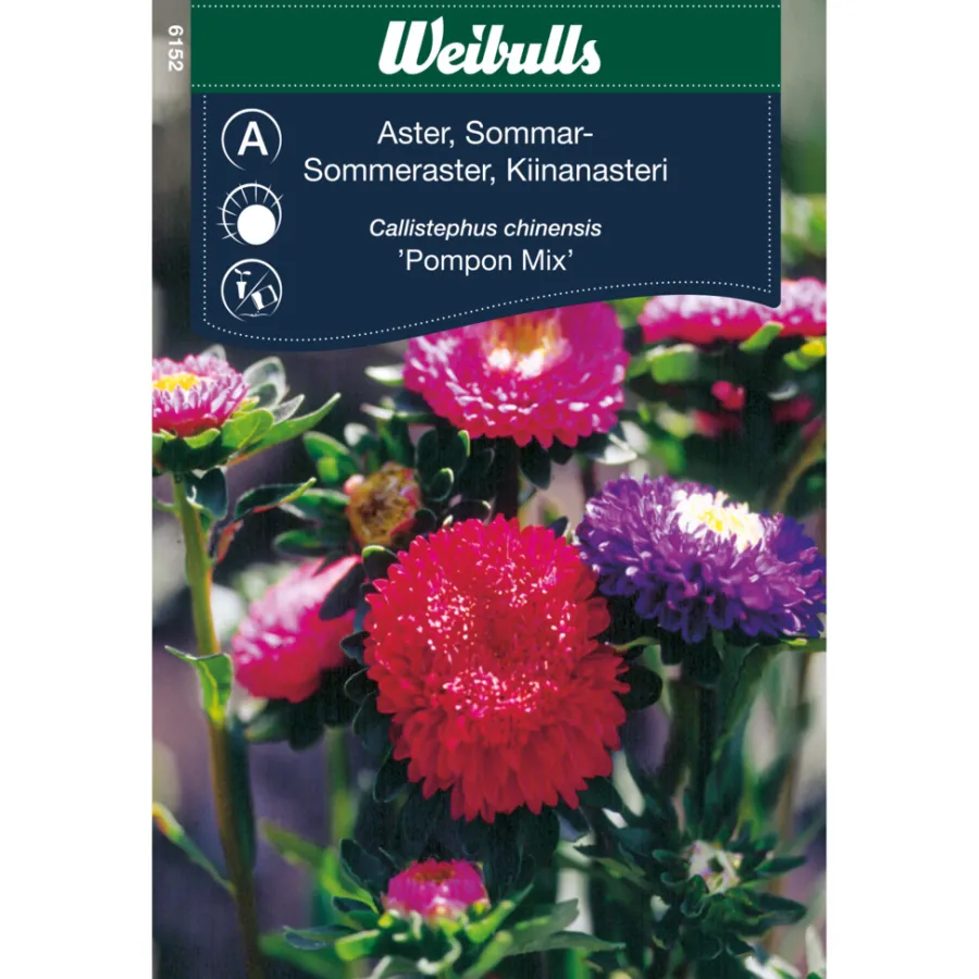 Frø^Weibulls Sommerasters - "Pompon Mix" Rosa. hvit. rød og lilla