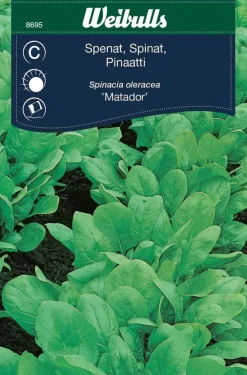 Frø^Weibulls Spinat 'Matador'