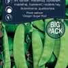 Frø^Weibulls Sukkerert høy 'Oregon Sugar Pod'