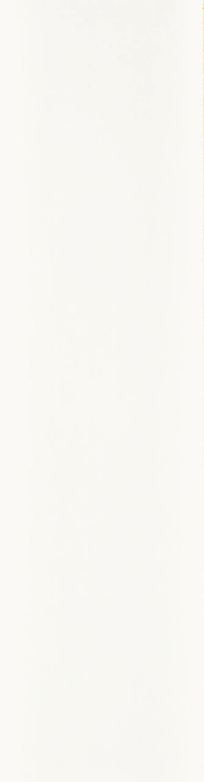 Veggpanel^Forestia Walls2paint 12 x 620 x 2390 mm
