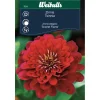 Frø^Weibulls Zinnia Elegans 'Scarlet Flame'