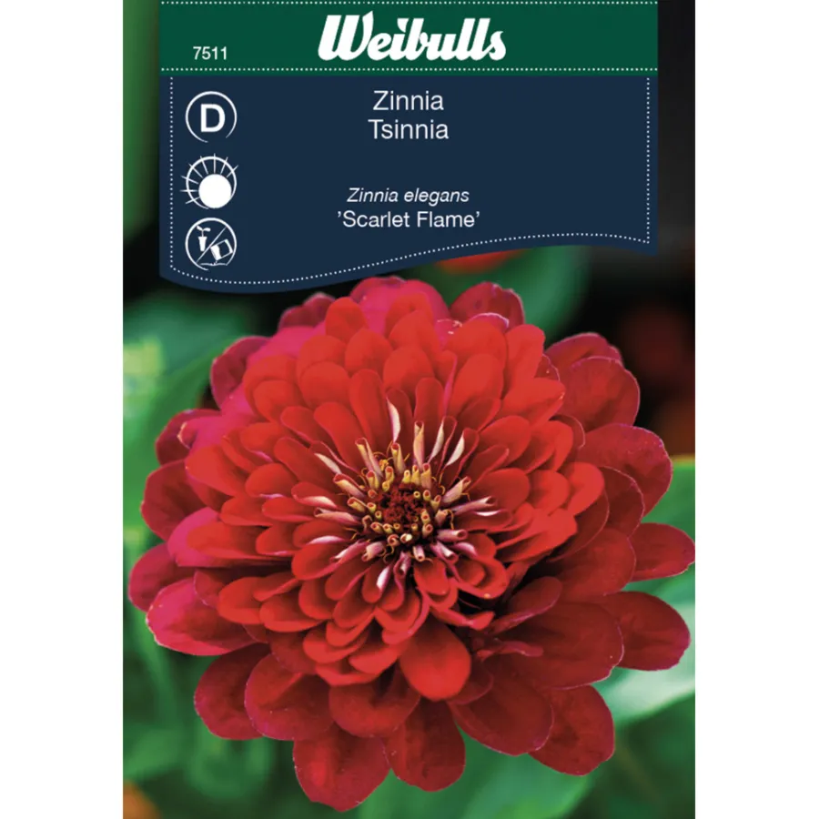 Frø^Weibulls Zinnia Elegans 'Scarlet Flame'